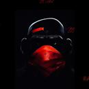 ZOO_17