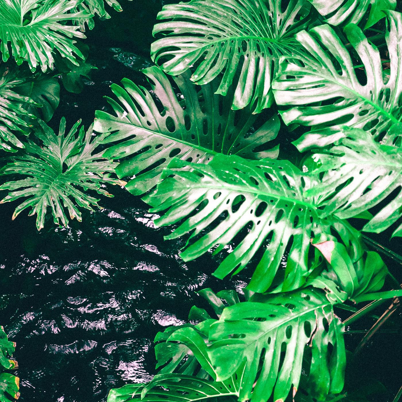 1 Rainy Night Meditative Rain 24H Rain Sounds 1-rainy-night-meditative-rain-24h-rain-sounds