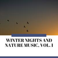 Winter Nights and Nature Music, Vol. 1