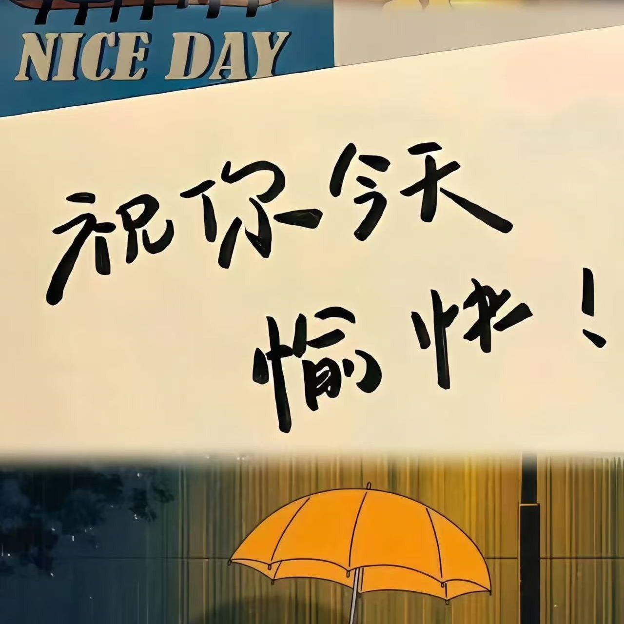 我的北方姑娘封面