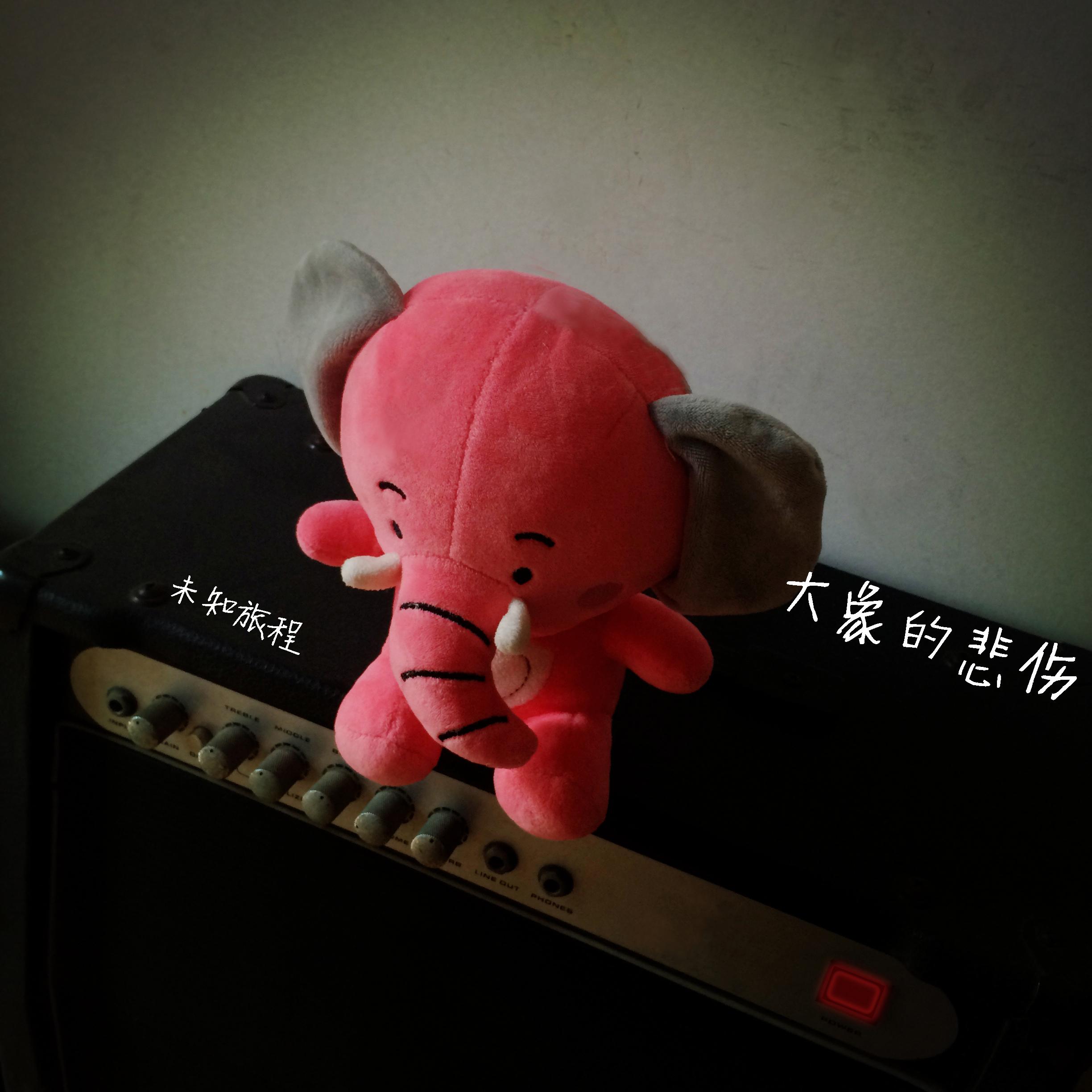 大象的悲伤封面