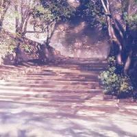 印第安老斑鸠资料,印第安老斑鸠最新歌曲,印第安老斑鸠MV视频,印第安老斑鸠音乐专辑,印第安老斑鸠好听的歌