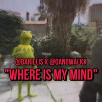 Where Is My Mind (feat. Gangwalkk)