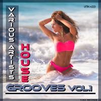 House Grooves, Vol. 1