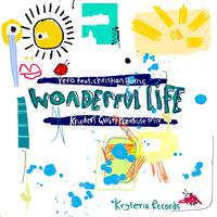 Wonderful Life (Kryder's Guilty Pleasure Mix)