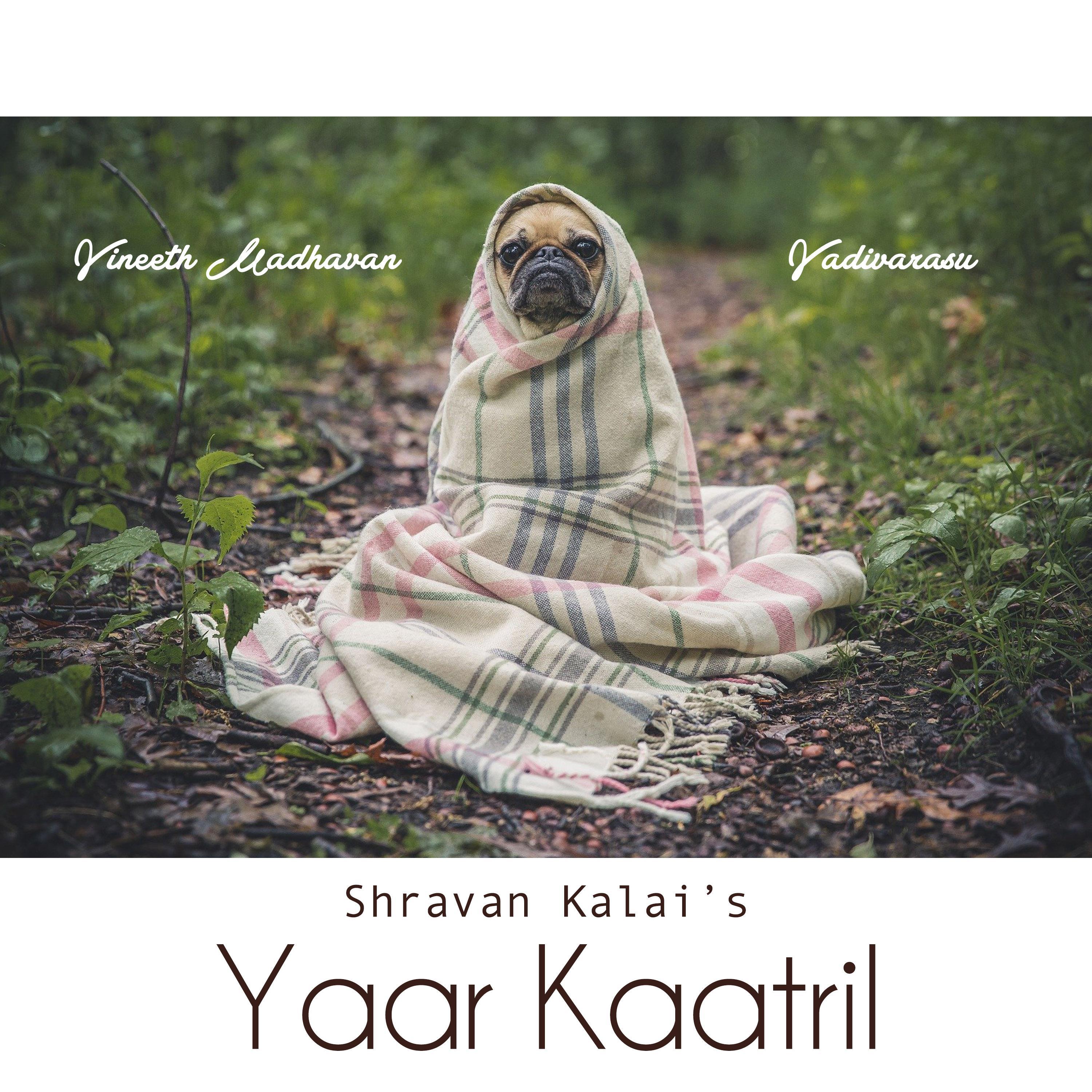 Yaar Kaatril (feat. Vineeth Madhavan)