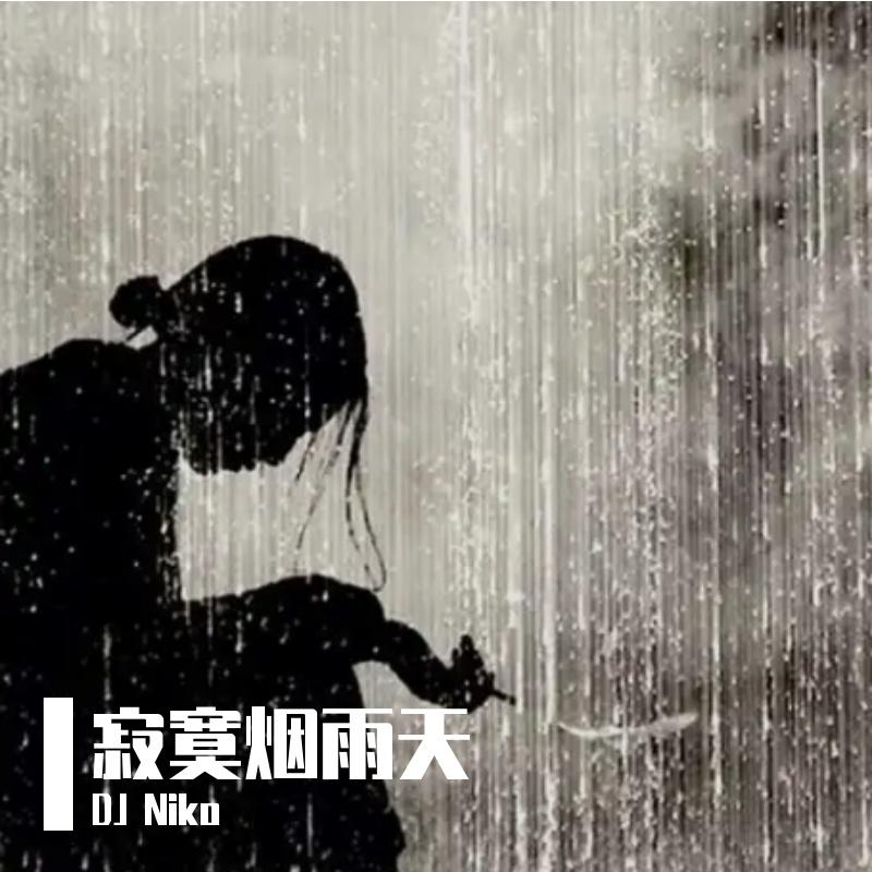 寂寞烟雨天封面