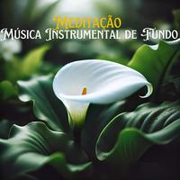 Meditação - Música Instrumental de Fundo – Hang Drum, Flauta, Lira, Ondas, Chuva, Vento, Rio, Mar, Harpa, Piano, Guzheng, Hotchiku, Sitar, Tambores