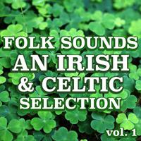 Folk Sounds: An Irish & Celtic Selection vol. 1