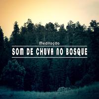 Meditação: Som de Chuva no Bosque