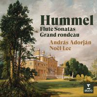 Hummel: Flute Sonatas & Grand rondeau