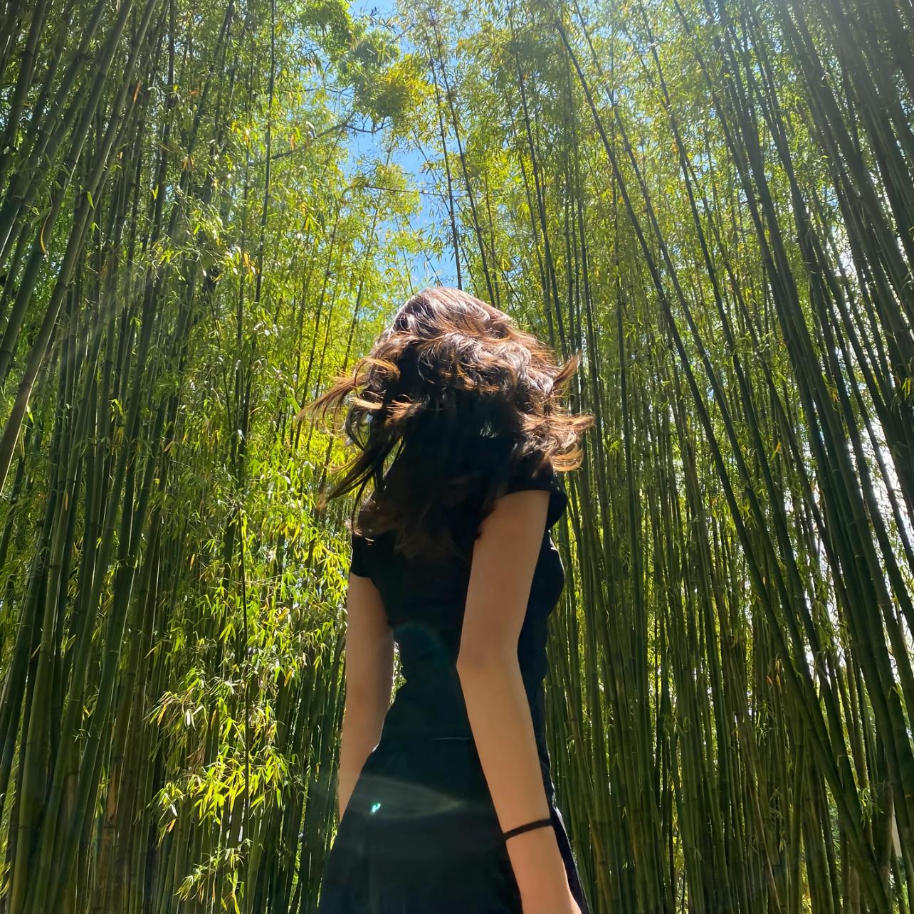 永远自由如风✨