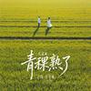 青稞熟了（民谣版）专辑