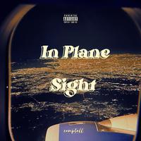 In Plane Sight