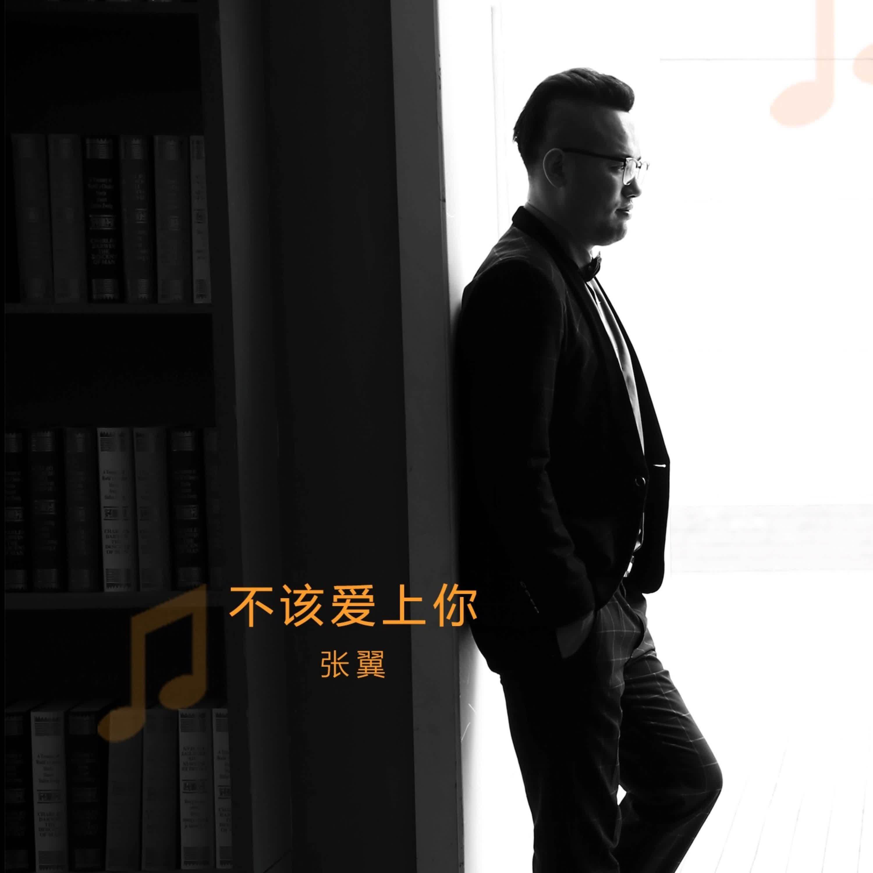 不该爱上你封面