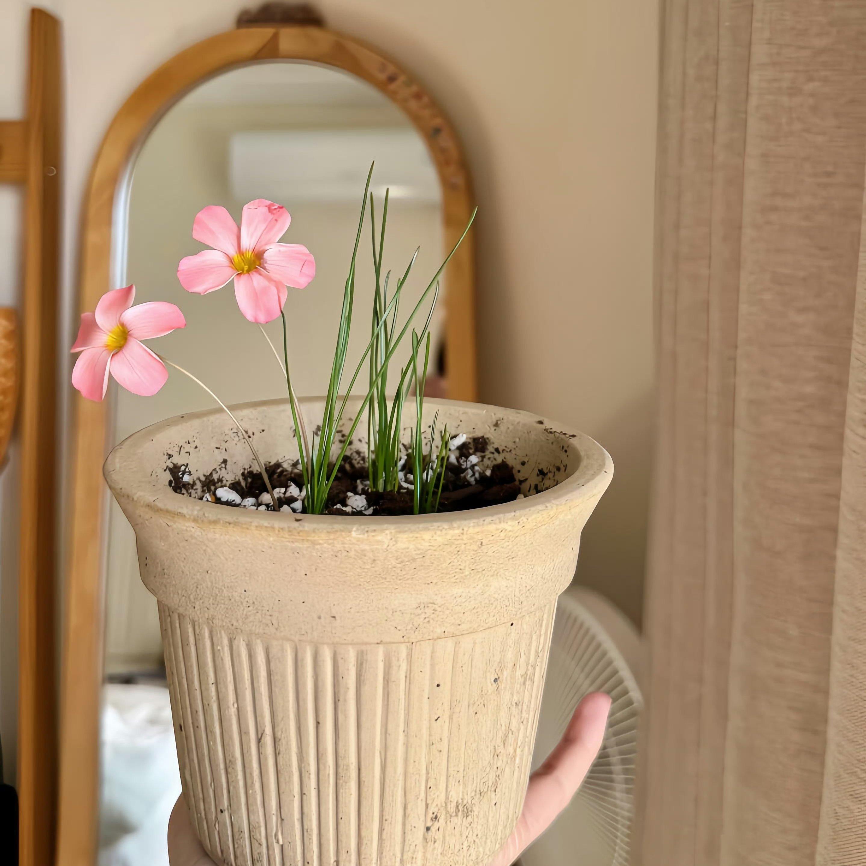 一位十七岁的少女在日记中写到