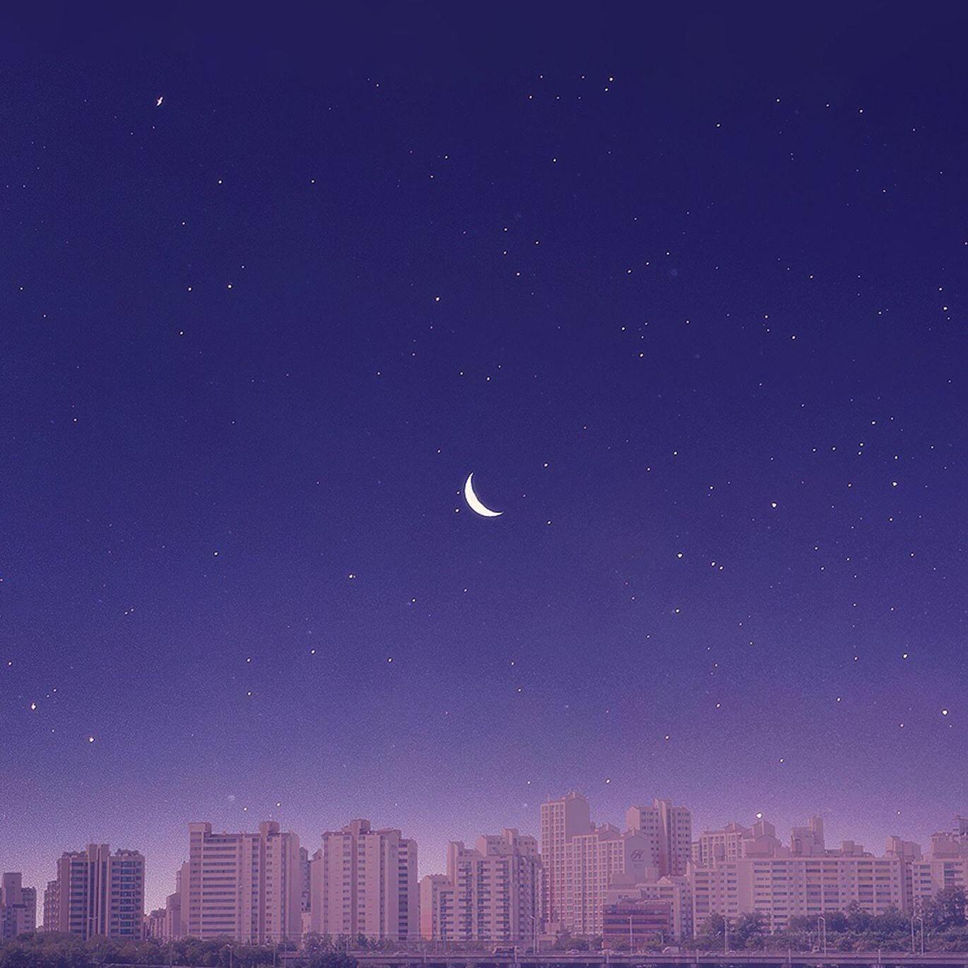 我的荣幸封面