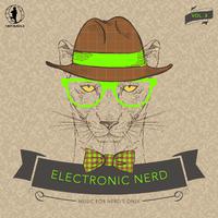 Electronic Nerd, Vol. 3