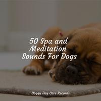 50 Spa and Meditation Sounds For Dogs