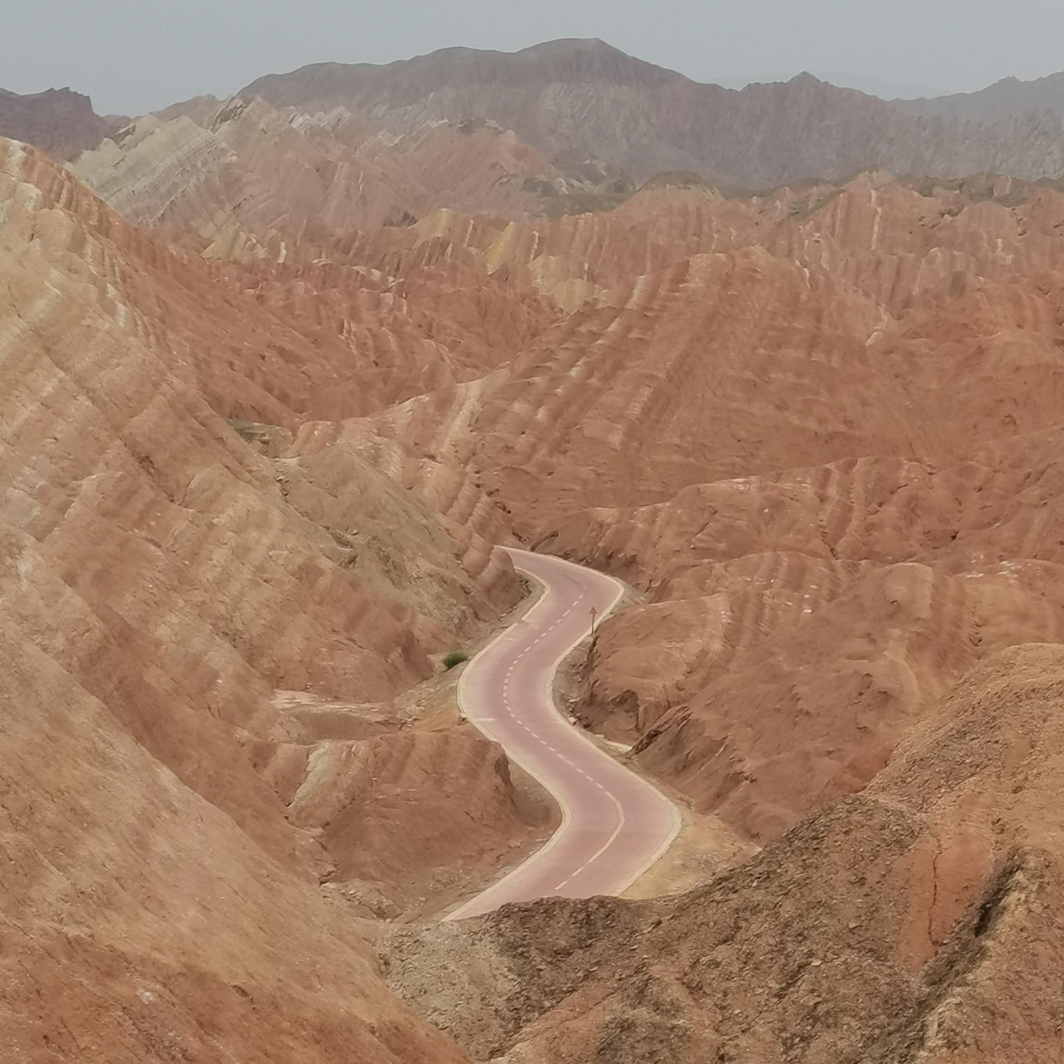 随风而去封面