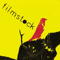 filmstock