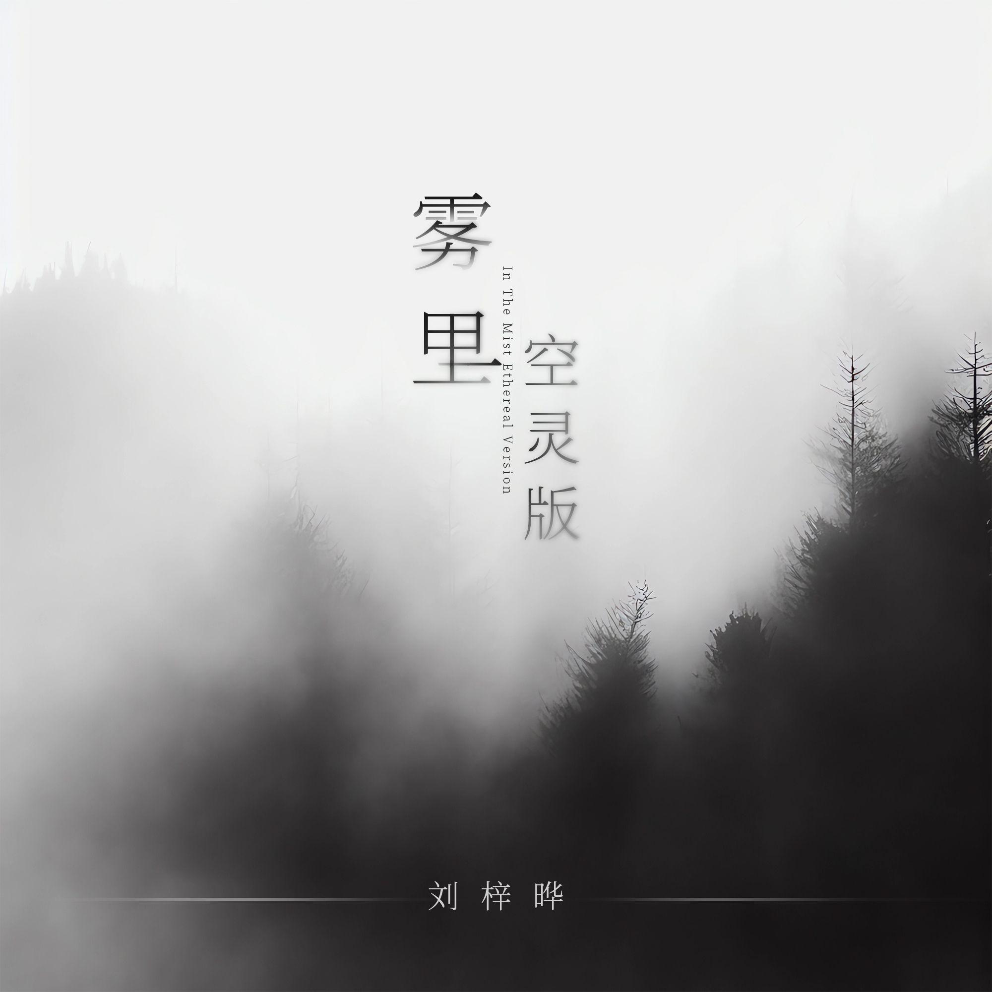 雾里 (空灵女声版)封面