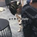 断了乱了 (DJ版)封面