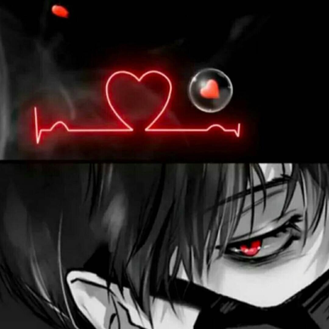 首席执行官小七、龙儿、三月 -