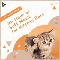 An Hour of Soft Music for Kittens Ears