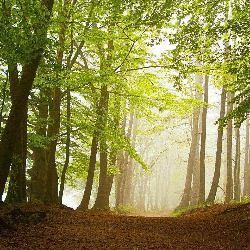 Ciara 热门50单曲(R&B与POP）