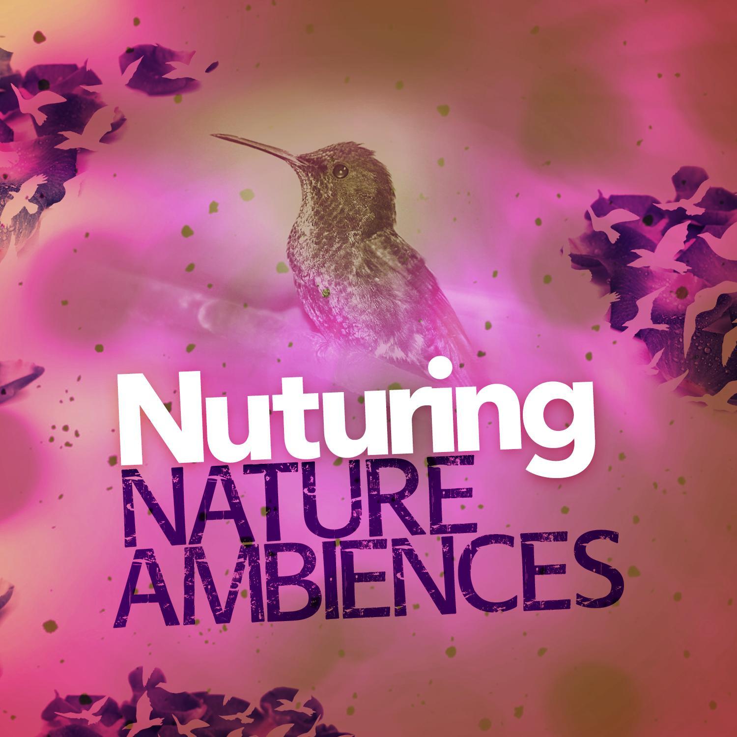 Birds Through the Rain