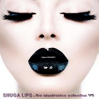 Shuga Lips: The Electronica Collection, Vol. 5