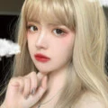 明智的放弃胜过盲目的执着封面