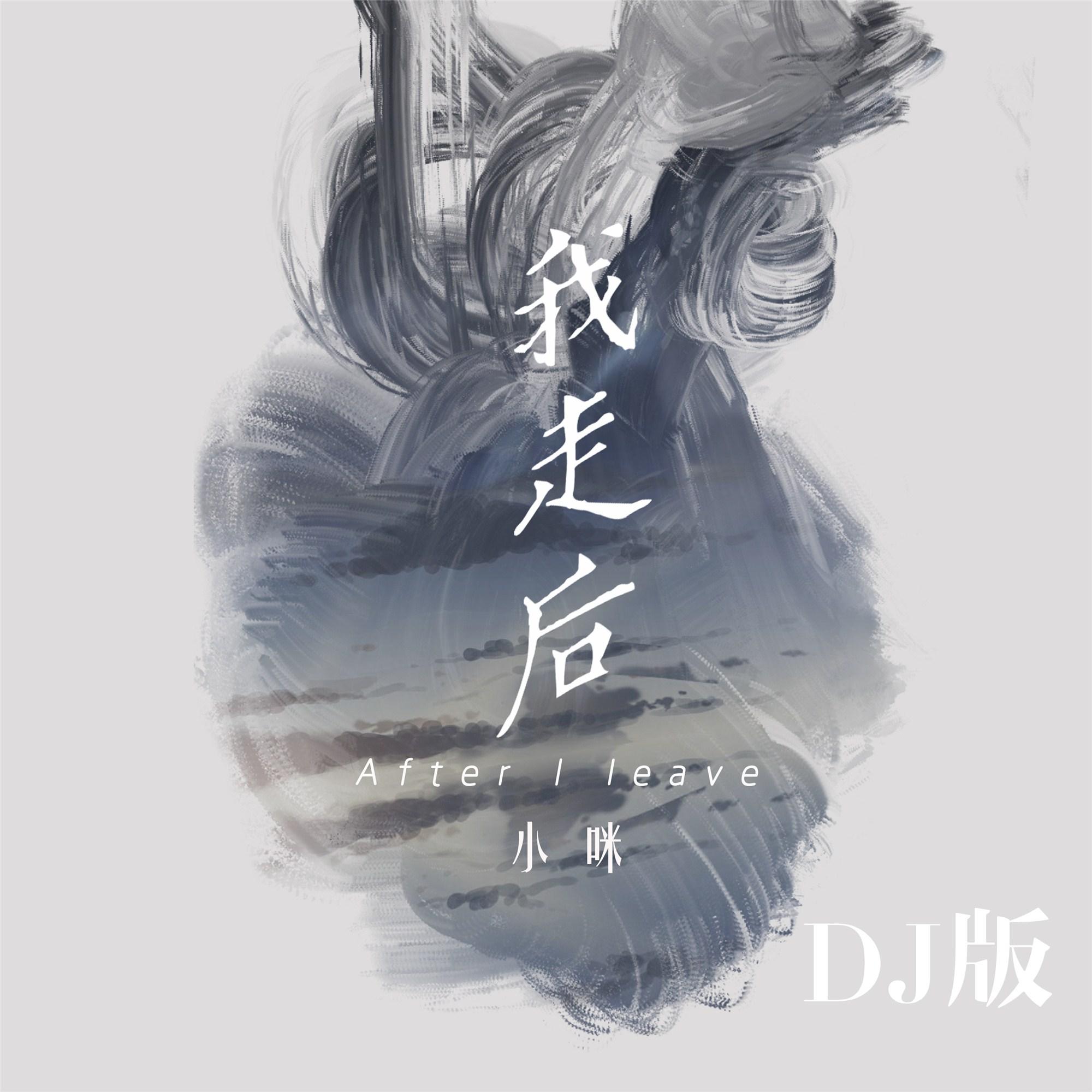 我走后 (DJ版伴奏)封面