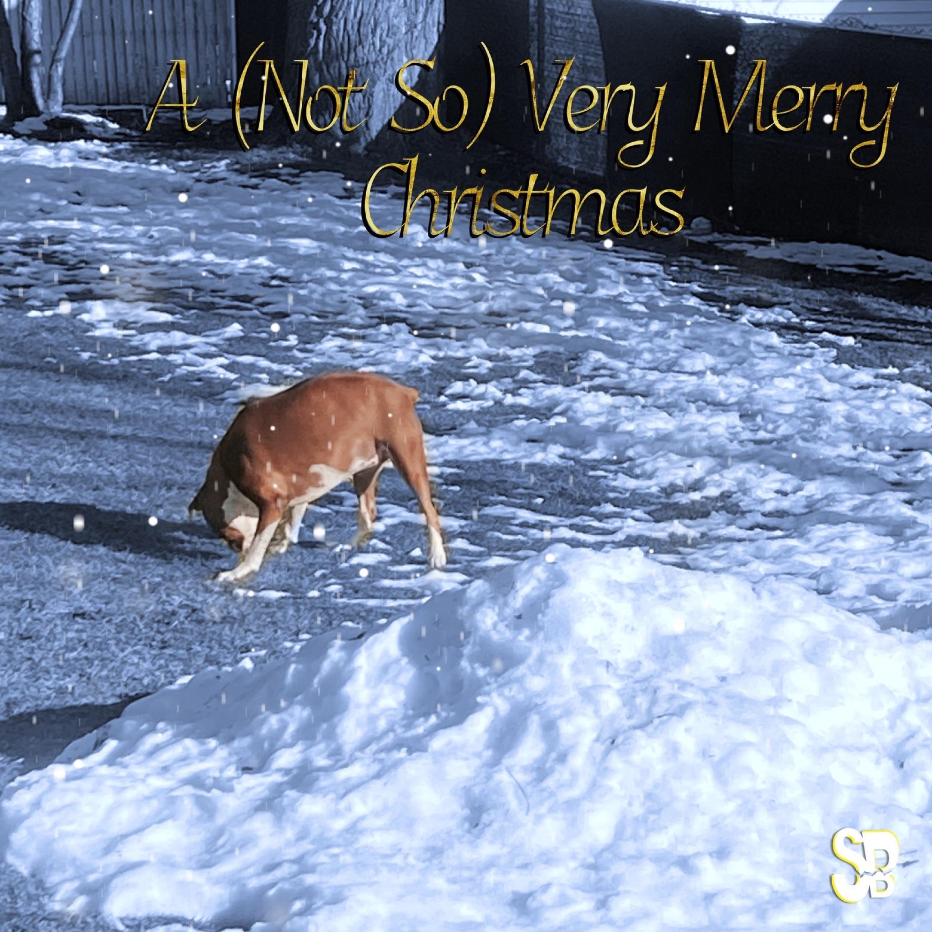 Very Merry Christmas