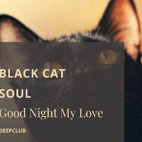 Black Cat Soul