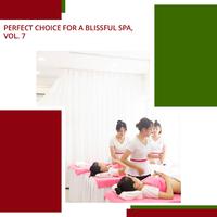 Perfect Choice For A Blissful Spa, Vol. 7