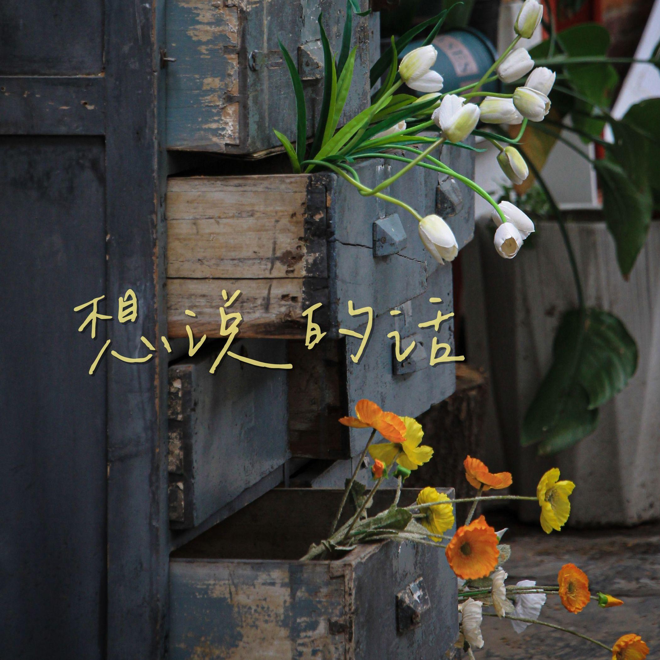 想说的话_DdB_想说的话 | 在线播放_想说的话歌词_想说的话下载 | 网易云音乐