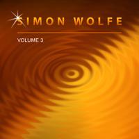 Simon Wolfe, Vol. 3