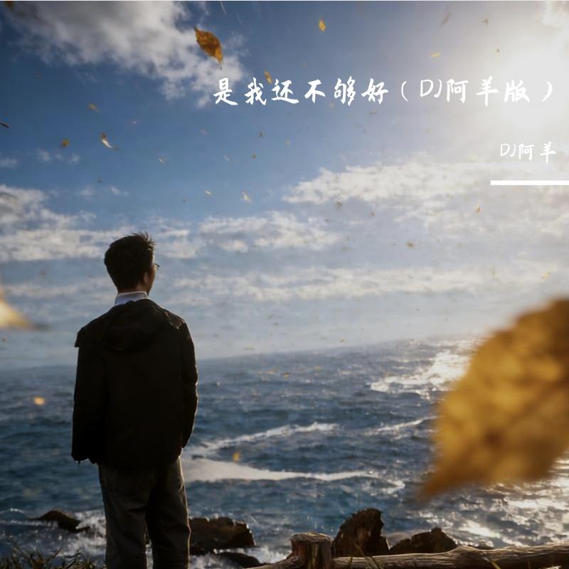 被伤过的心还可以爱谁（DJ阿羊版） - DJ阿羊封面