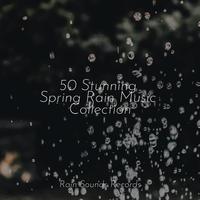 50 Stunning Spring Rain Music Collection