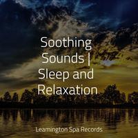 Soothing Sounds | Sleep and Relaxation