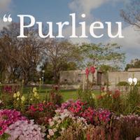 Purlieu