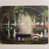 F-Plus - salgado pago