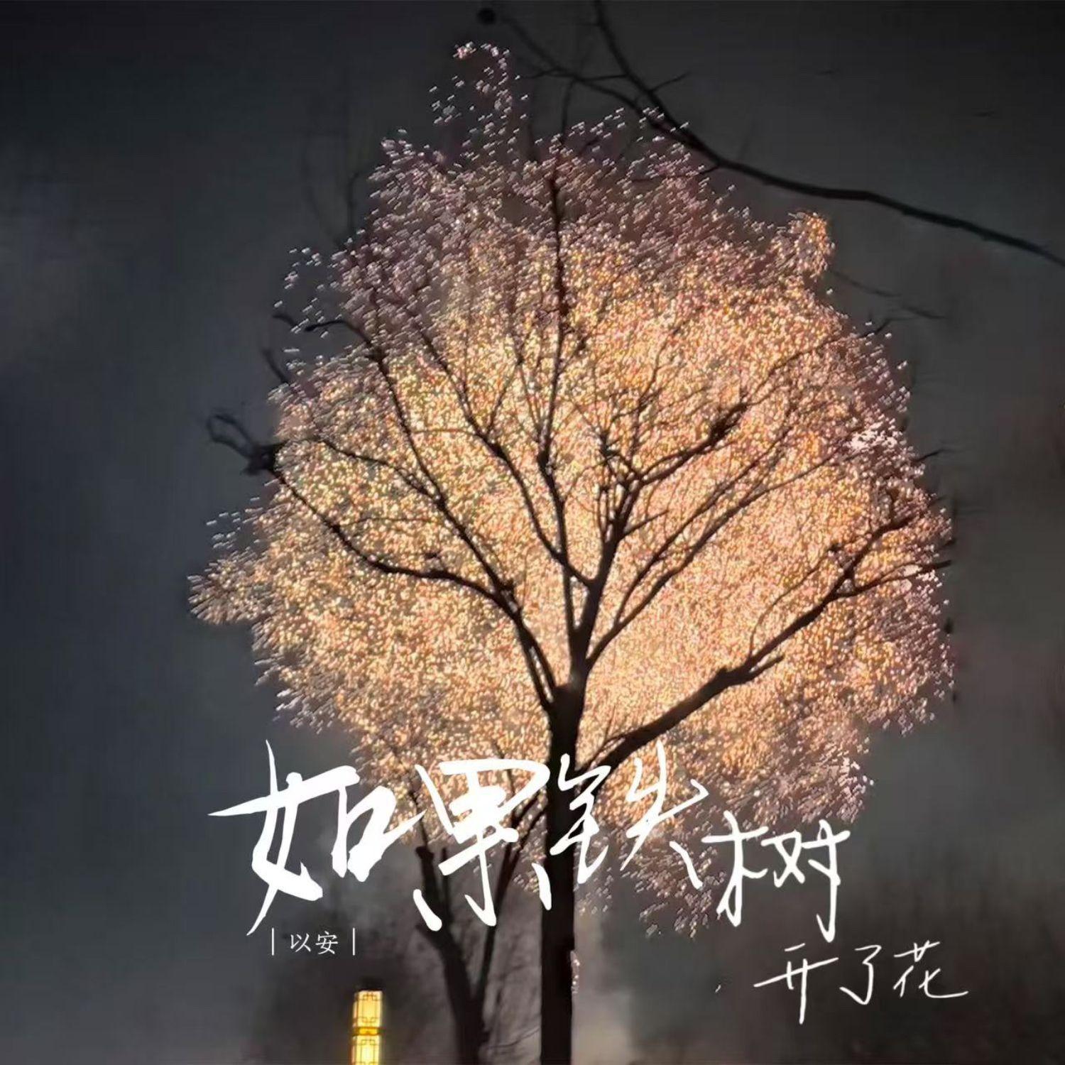 如果铁树开了花封面