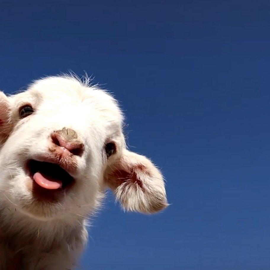 ksovii等一下就回家