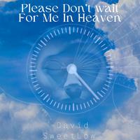 Please Don't Wait For Me In Heaven