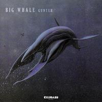 BIG WHALE