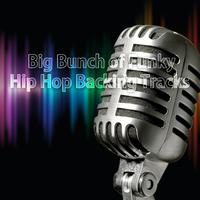 Big Bunch of Funky Hip Hop Backing Tracks