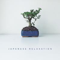 Japanese Relaxation - Unique Collection of Asian Music, Nature Sounds, Instrumental Melodies, Gong, Flute, Bells, Asian Zen Meditation, Healing Noise, True Relaxation